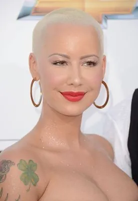 Amber Rose Pillow